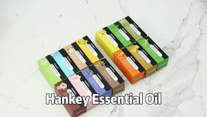 10ml Essential Oil Fragrance Essential Oil For Aroma Humidifier Water Soluble Oil Multiple Scents Oil For Humidifier