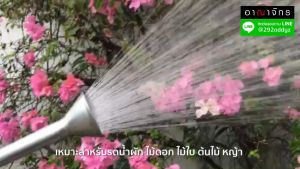 ฝักบัวรดน้ำต้นไม้ หัวบัวแสตนเลสเกรด 304 ขนาด 2.5 นิ้ว - ANAHCHAK