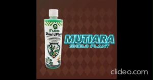 MUTIARA SHIELDPLANT SPRAY BOTTLE & 1L REFILL| MESRA ALAM & MESRA PENGGUNA 100% ORGANIK
