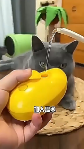 Pet Water Spray Massage Comb Pet Steam Brush Banana Shape for Removing Tangled And Loose Hair for Dog and Cat