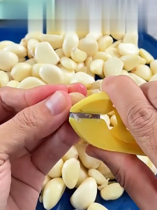 จัดส่งรวดเร็ว เครื่องปอกกระเทียม แมนนวล  พลาสติก+สแตนเลส ไม่ทำเสียเล็บ เครื่องมือปิดเปลือกกระเทียม  มัลติฟังก์ชั่น