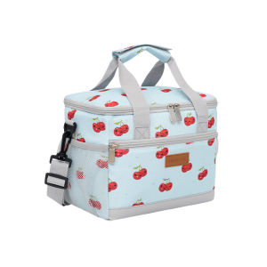 Insulated Lunch Bag Double Compartment Large Capacity Portable Handheld Shoulder Food Tote for Work School Picnic