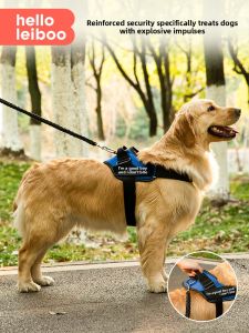 HELLOLEIBOO | Shock Absorbing Dog Leash for Large Breeds
