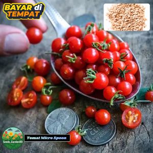 10 BUTIR BIJI/BENIH TOMAT MICRO MINI SPOON TOMATO