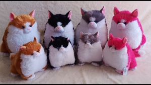 Dreamtoys96 Boneka Kucing Cat Bubble Cute