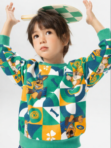 Paw Patrol | Childrens Paw Patrol Printed Hoodie Sweater