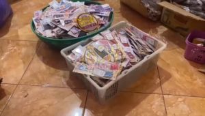 (Isi 50 Pcs) Souvenir SISIR KECIL 15cm kemas ALAS Kartu Ucapan Suvenir Murah Makassar