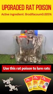 【Makan sebiji pil mati dalam 2s】Umpan tikus Rat bait racun tikus paling kuat Rat repellent run away to die ubat tikus paling berkesan 杀死老鼠三步倒 racun tikus paling berkesan halau tikus Rat killer老鼠藥 Strong Rat poison