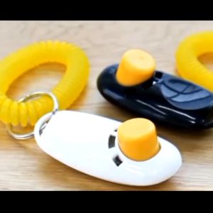 Clicker huấn luyện chó - dụng cụ dạy chó mèo giá siêu rẻ - BEB052