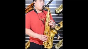 MINSINE saxophone instrument  Alto E key Saxophone Brass Lacquered Alto Sax Wind Instrument with Carry Case