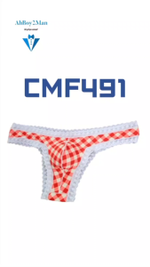 Mens Brief: Nylon Thin Chequered Half Brief with Lace Trimming (CMF491)
