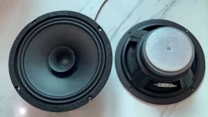 Loa bass 20 toàn dải từ 100 coil 25 gân vải - giá 2 loa