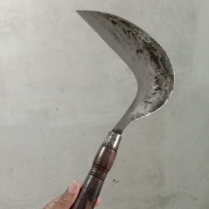 arit rumput padi untuk memangkas rumput maupun pari di kebun