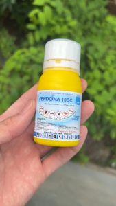 Thuốᴄ phòng và diệt muỗi kiến gián Fendona 10SC chai 50ml không mùi an toàn xịt trong nhà