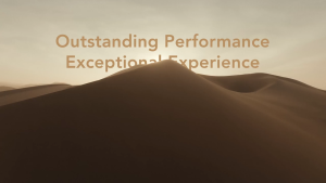 Lexar® Professional SILVER PLUS microSDXC™ UHS-I Card  (64GB/128GB/256GB /512GB) support up to 4k 60fps / 205MB/s read 150M?B/s write speed