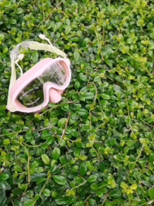 แว่นตาดำน้ำเด็ก Lemonkid รุ่นครอบจมูก มุดน้ำก็ได้ ดำน้ำก็มั่นใจ น้ำไม่เข้าจมูกแน่นอน (SW301)