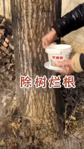 500g Tree Killing Powder Weed Killer Rumput Sambau Destroy Tree Power Cleaned Remove Rotten Roots Bamboo Weeds 灭树粉/除草剂