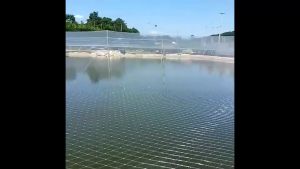 เครื่องดื่มแบ่งขาย ตาข่ายกันนก สีใส ไม่ทึบ ไม่ขุ่น ขนาดกว้าง 1m/2m/3m