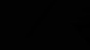 MAKE UP FOR EVER 172 Bevel Eyebrow Brush Eyeliner Brush Makeup Brush