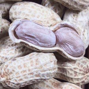 Roasted Wet-Baked Five Spice Flavored Shelled Peanuts