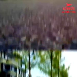 SPEEDS Skateboard Anak Pennyboard Mainan Roda PVC Papan Skate Fullset Freestyle Anak 028-1705