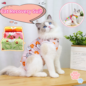 Cat Recovery Suit Professional Breathable Soft Jumpsuit Care Clothes Anti Bite Cat Clothes after Surgery