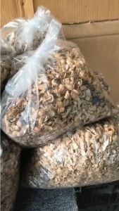 Vỏ đậu phộng giá thể trồng cây hữu cơ (loại 500g/túi) Vỏ đậu phộng là nguồn phân bón tuyệt vời nhờ vào hàm lượng kali cao. Kali giúp cây phát triển khỏe mạnh giảm sâu bệnh tăng cường sức đề kháng .