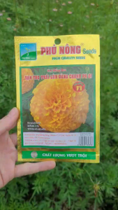 [VTNN TIEN KHOA] Hạt giống hoa vạn thọ Thái vàng lùn chanh PN 01 dễ trông hoa to đẹp