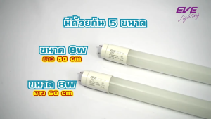 EVE (ลดล้างสต็อค) หลอดแอลอีดี LED T8 สำหรับชุดรางไฟ หลอดนีออน รุ่น ECO ขนาด 8W 9W 16W 18W 22W แสงขาว / ขาวนวล / เหลือง รับประกัน 2 ปี