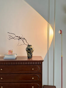 Luxury Designer Popular Floor Lamp