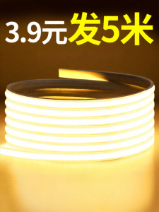 SAINAHEPAN | Outdoor Waterproof RGB LED Light Strip 220v