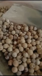 Lada Putih Butir: Bahan Rempah Rendah Kalori