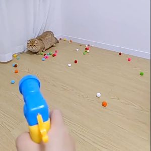 SKISOPGO ปืนยิงลูกปอมๆ นอกจากนี้ มียุงยิง ยิ่งยิ้ม ยิ้มยืดหยุ่นสูงสุด ปลอดภัย ไม่ต้องใช้แบตเตอรี่ สามารถใช้ได้ง่าย สำหรับลูกบอลของเล่นแมว