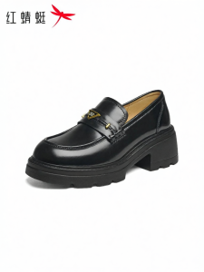 Reddragonfly | Autumn New Design Platform Slip-on Women Loafers for Office