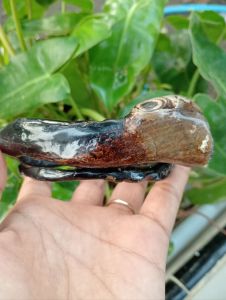 gelang akar Bahar hitam/gelang akar Bahar hitam bonggol/gelang akar Bahar hitam bonggol unik/gelang akar Bahar hitam bonggol size jumbo/gelang akar Bahar hitam bonggol asli