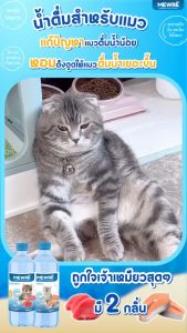 ยกแพ็คสูตร Mewre สำหรับแมว น้ำดื่ม 1L.x6ขวด