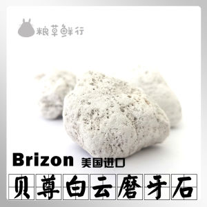 Natural Volcanic Rock Tooth Grinding Stone for Chinchillas And Other Rodents Dental Care Pet Supplies by Brizon