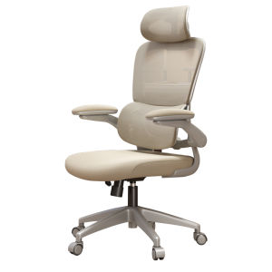Aidesheng | Ergonomic Comfort Computer Chair Home Office Study Chair