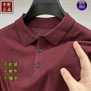 Thin Spring & Fall Worsted Woolen Sweater Mens Top Knitting Bottoming Shirt Mens Sweater Men T-shirt Long Sleeve Polo Shirt