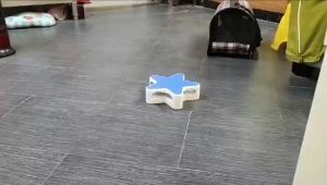 Pet World Starfish Star Electronic Motion Automatic Rotating Pentagram Box Cat Toy Play Circuit