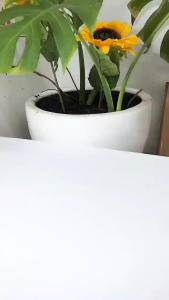 Toothpasta beli 1 dapat 2 FA