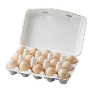 NUOXIAN | Eco-friendly Anti-shock Packaging Tray