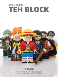 Third Party Toy Assembling Figure Luffy Sanji Zoro Anime Building Blocks Collectible Toys for Boys And Bé Gáis over 14 Years