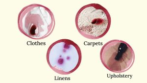 Chateau Spill Red Wine Stain Remover for Clothes Stain Remover Spray for Stains on Tablecloth Carpet