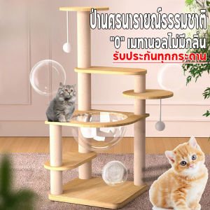 COD คอนโดแมว คอนโดแมวไม้ เสาลับเล็บ ของเล่นแมว ขนาดใหญ่ มินิมอล พร้อมโดมนอนแบบใส บันไดและกล่องนอน