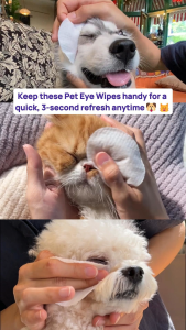 【BEST SELLING】HICC PET Eye Wipes for Dogs & Cats | Tear Stain Cleaner | Gently Clean Eye Discharge Debris & Tear Stains | Vet-Recommended Eye Care | 30/100pcs