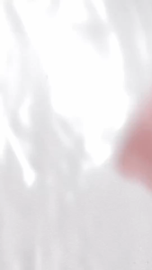 makeup remover psk Glad2Glow Cherry Blossom Betaine Micellar Water 300ml Super hydrating and refreshing without stickiness | Three-in-one facial cleansing and makeup removal/cleansing/toning | Suitable for sensitive skin