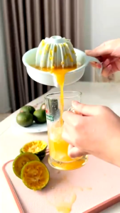 BỘ VẮT CAM CHANH INOCHI – NHANH GỌN VẮT KIỆT KHÔNG LO HẠT