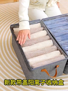 BECORATE Folding Storage Box Cationic Clothes Organizer With Thickened Lid Steel Frame Large Capacity Dust Cover For Clothes