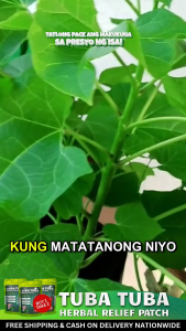 Tuba Tuba Relieve Healing Patch B1T3 Gout Organic Natural Rayuma Herbal Pain Reliever #1 Effective  4.8  6K ratings 10K+ Sold